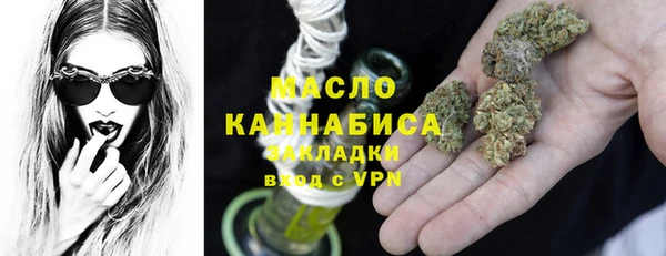 молекула духа Верхний Тагил