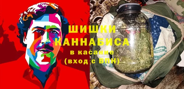 молекула духа Верхний Тагил